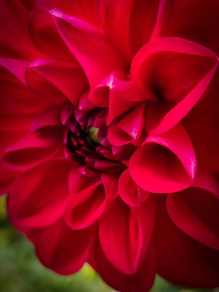 Photograph by Andrey Purtov