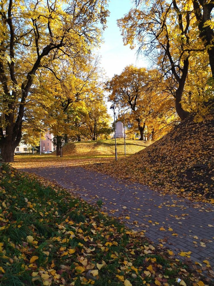 Осень в Пскове