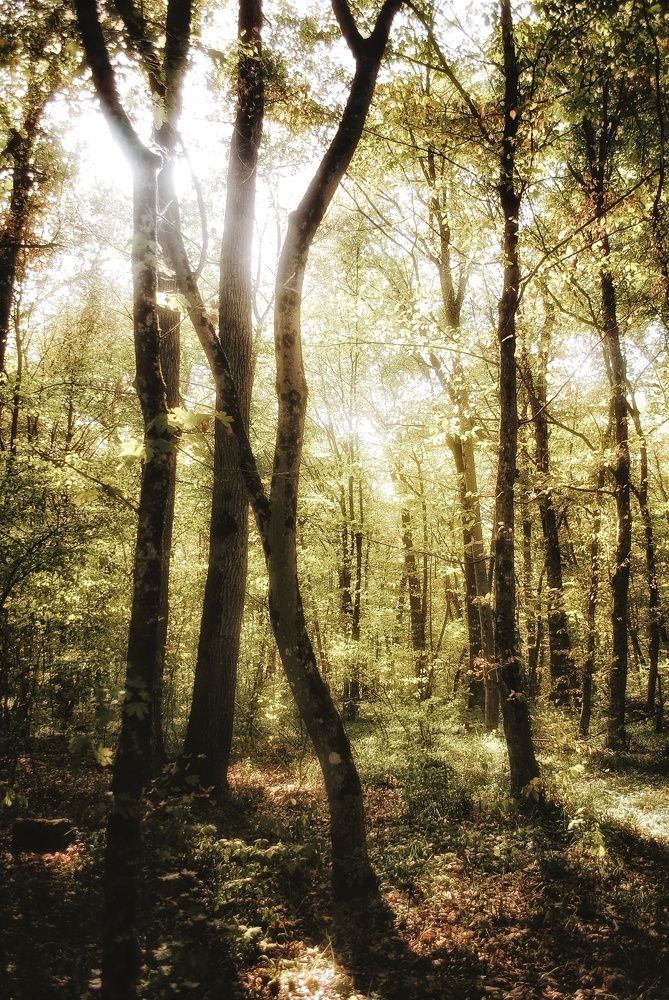 Photograph by Анна Берневик