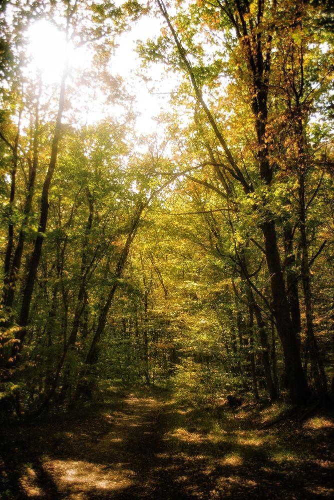 Photograph by Анна Берневик