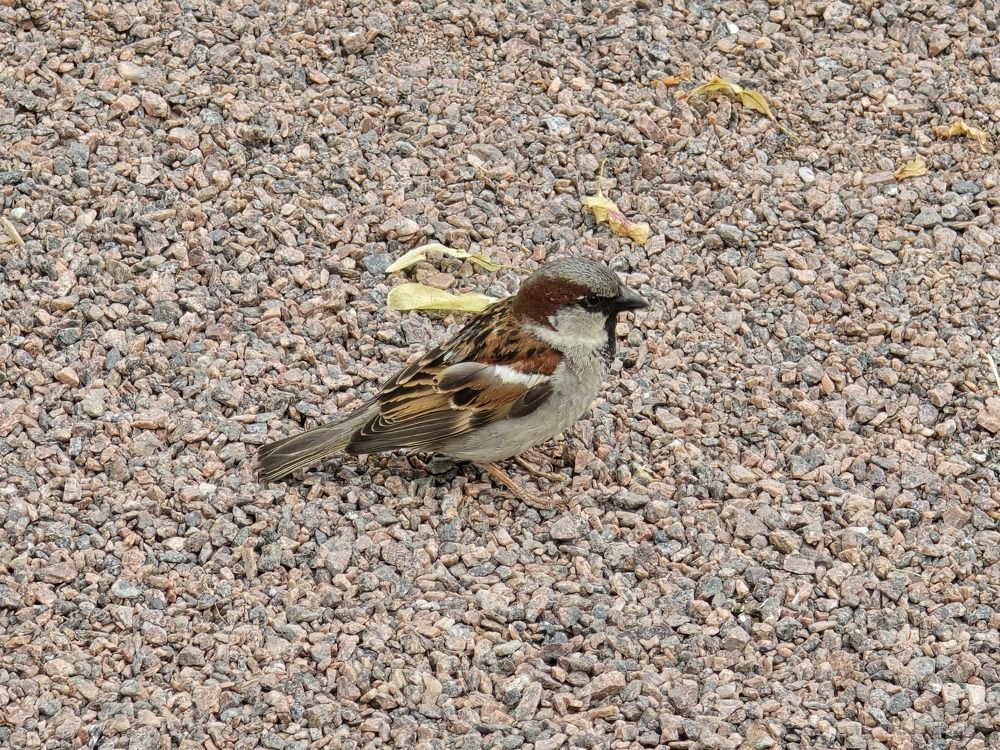 Photograph by Татьяна Дмитриева