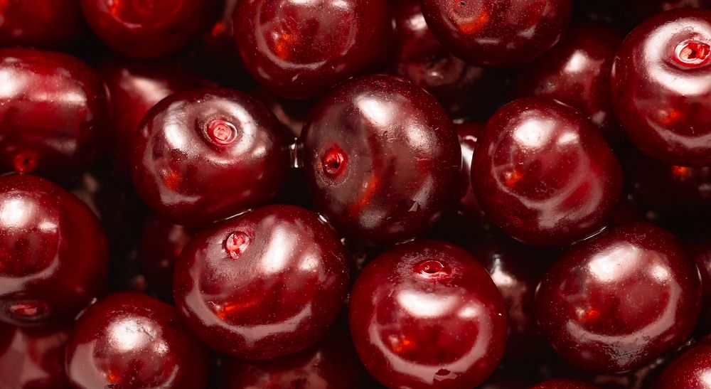 Not a big pile of picked cherries