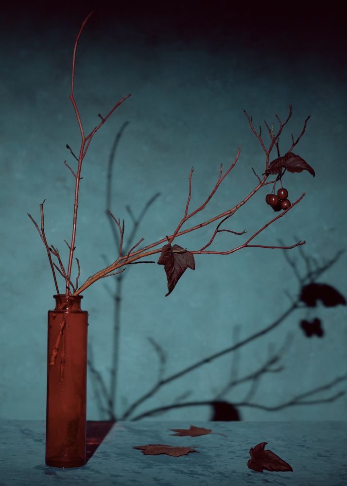 Autumn