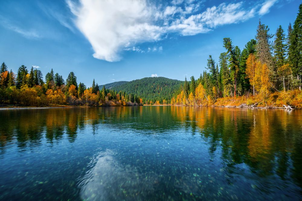 Золотая осень в тайге Западных Саян.