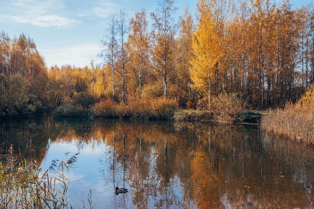 Photograph by Сергей Белокуров