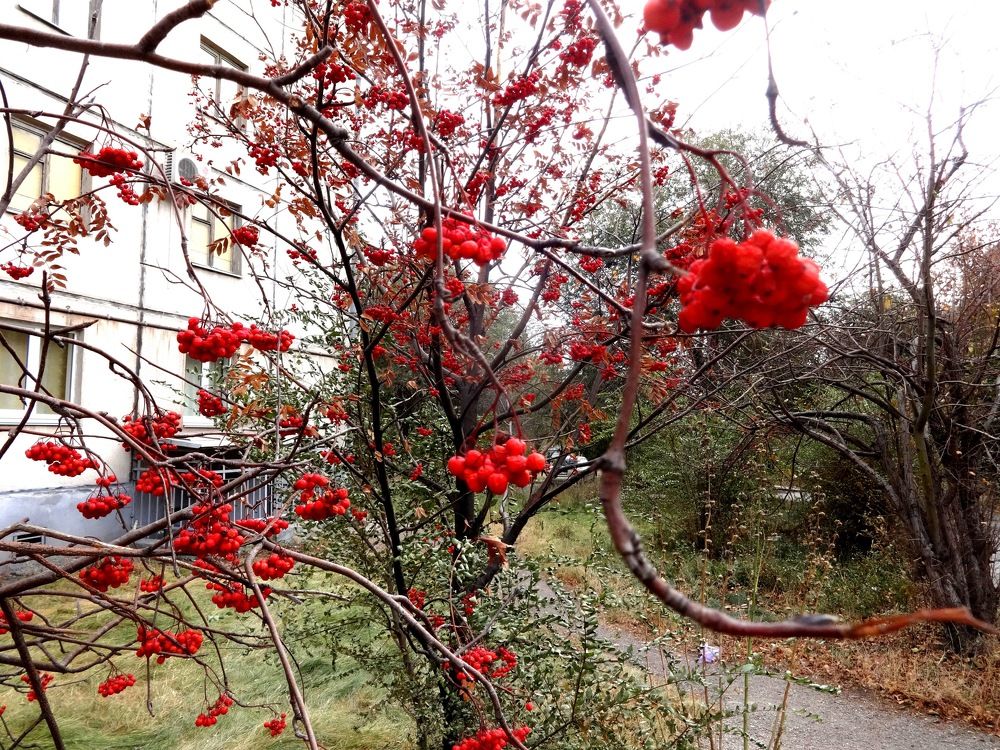 Photograph by Сергей Хвостовец