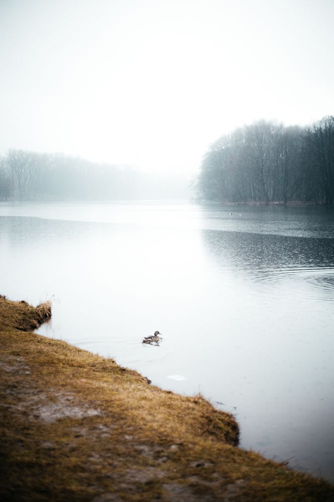 Photograph by Ksenya Loboda