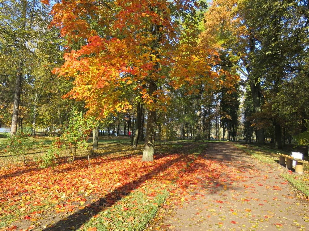 Photograph by Валерия Яскович