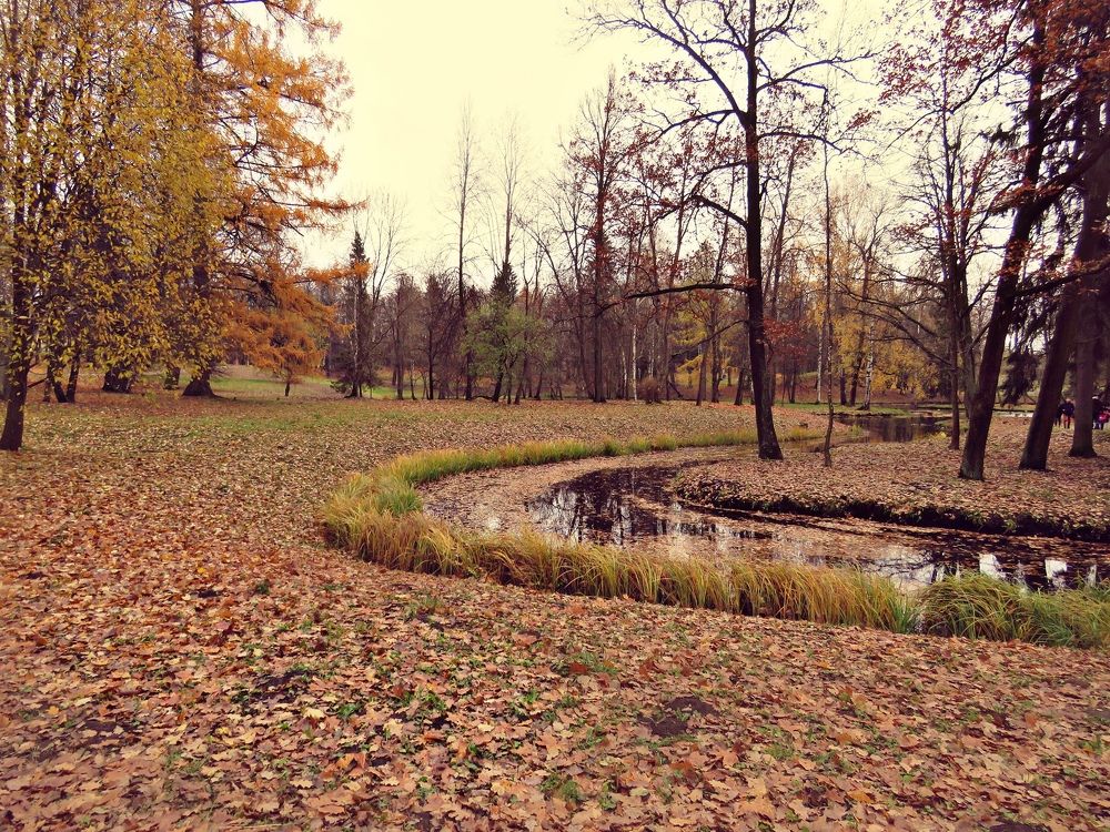 Photograph by Валерия Яскович