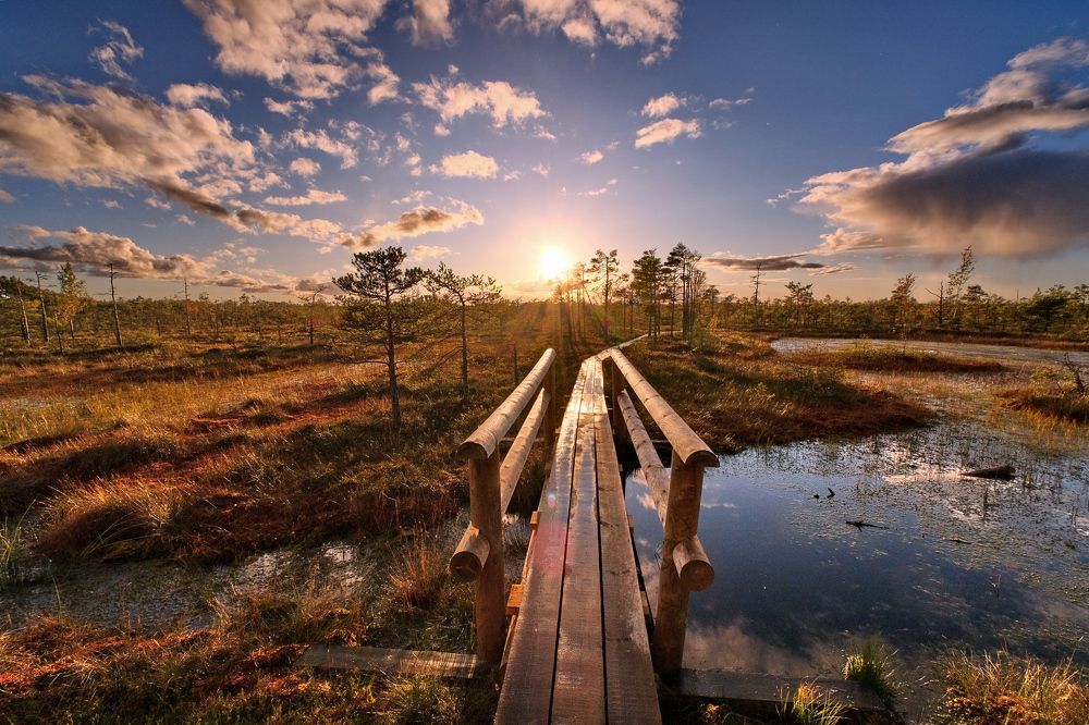 Photograph by Vitalijs Kopa