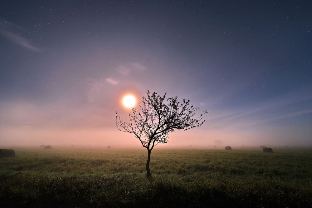 Photograph by Vitalijs Kopa