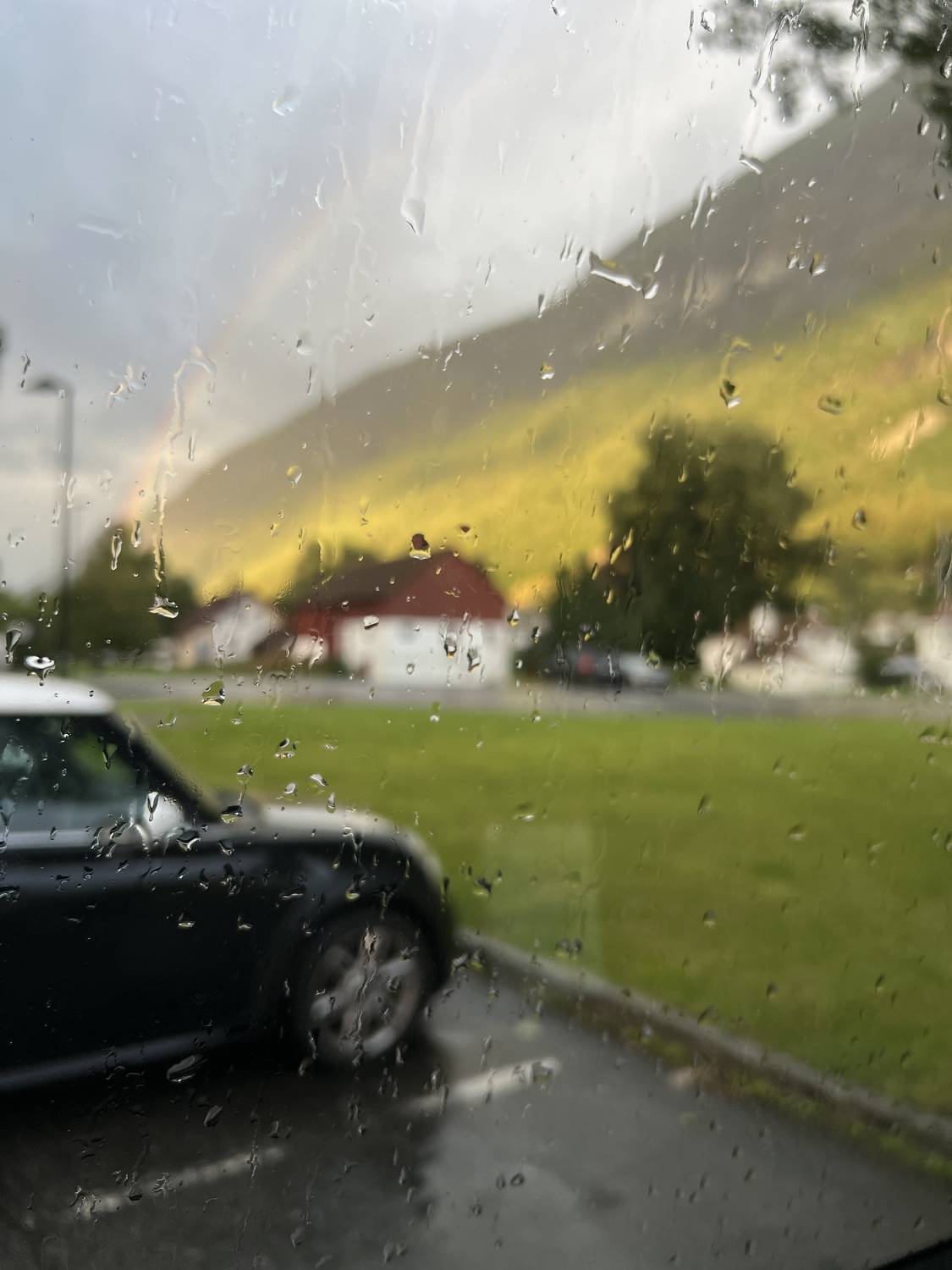 Photo #11190849