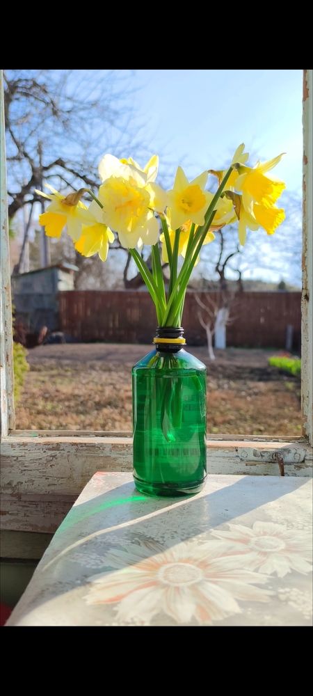 Photograph by Петр Поспелов