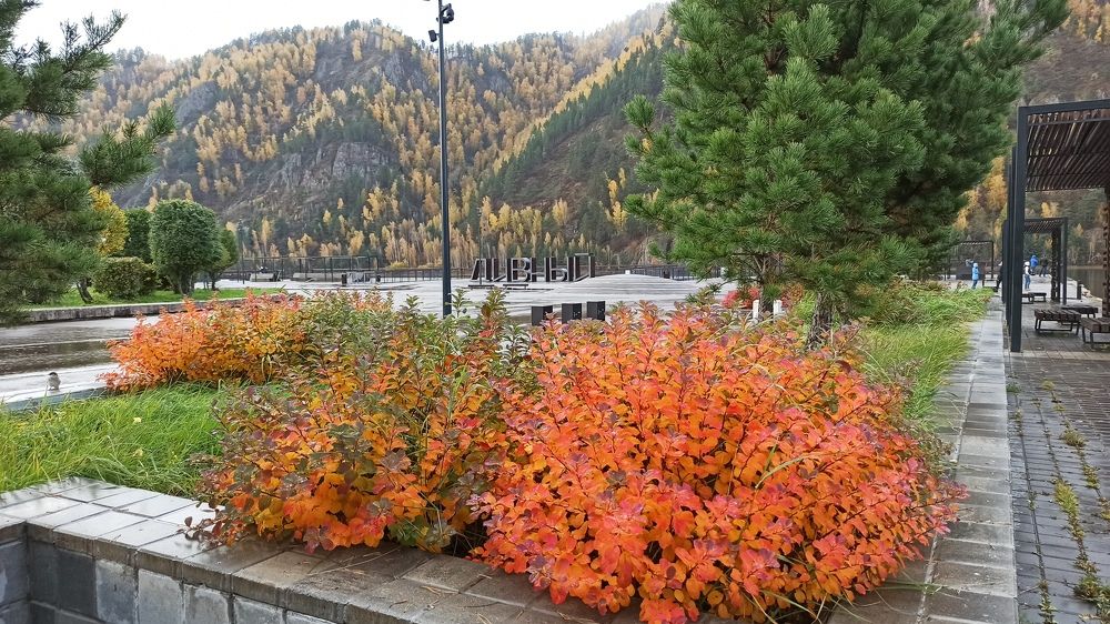 Photograph by Сергей Копылов