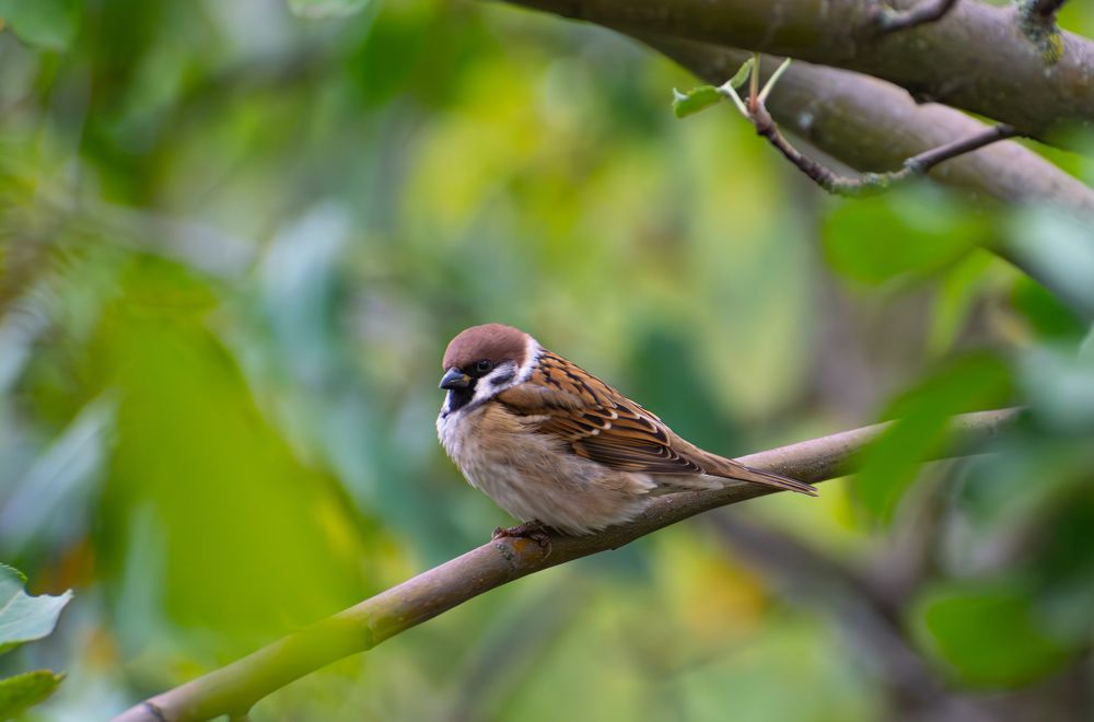 Photograph by Кристина Дегтярёва