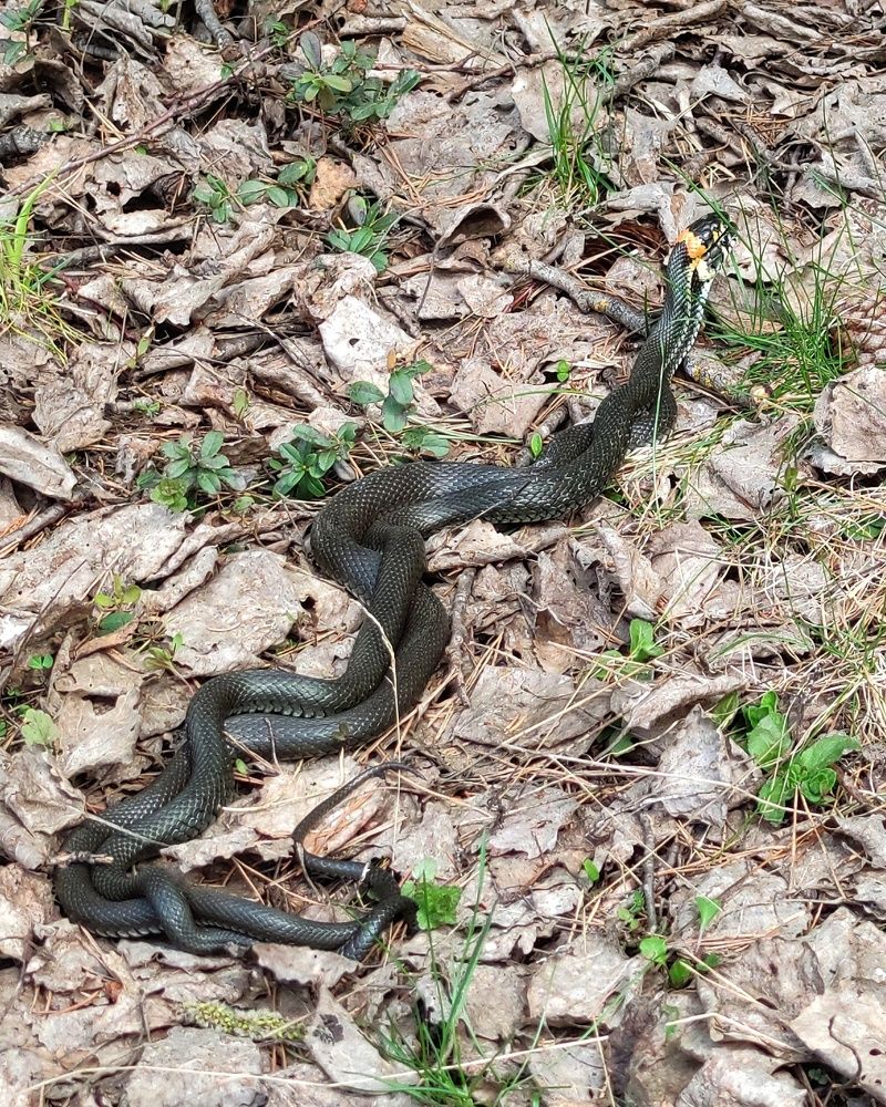 Photograph by Петр Поспелов