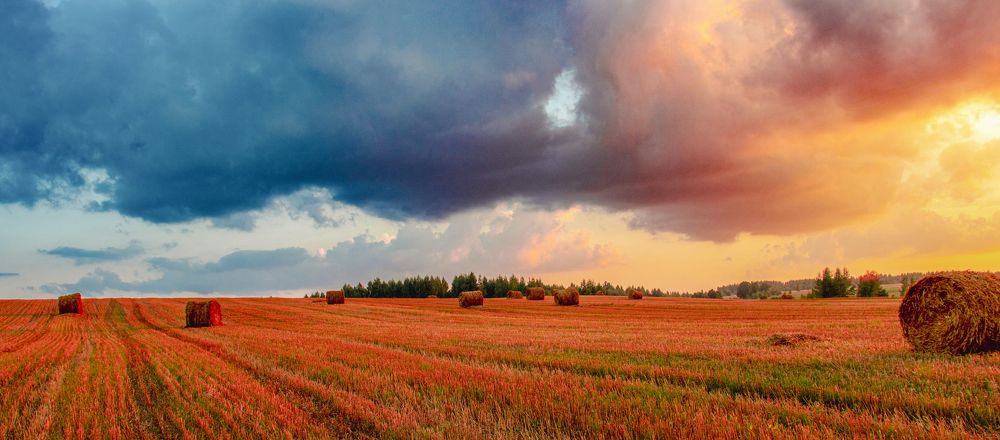 Photograph by Викулов Сергей