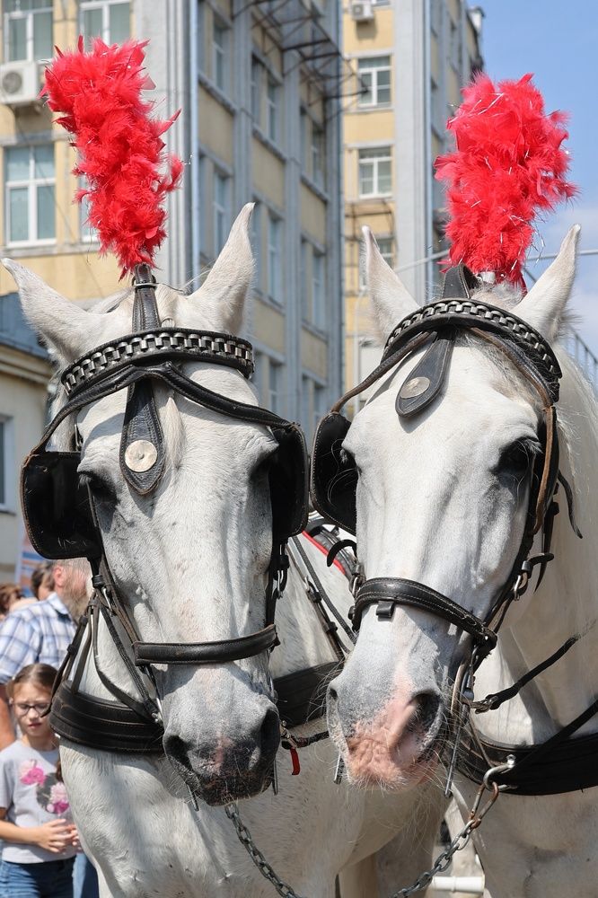 Photograph by Наталья Сафронова