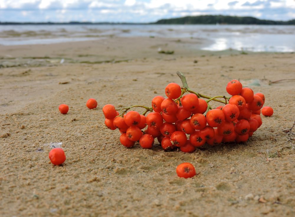 Photograph by Tatiana