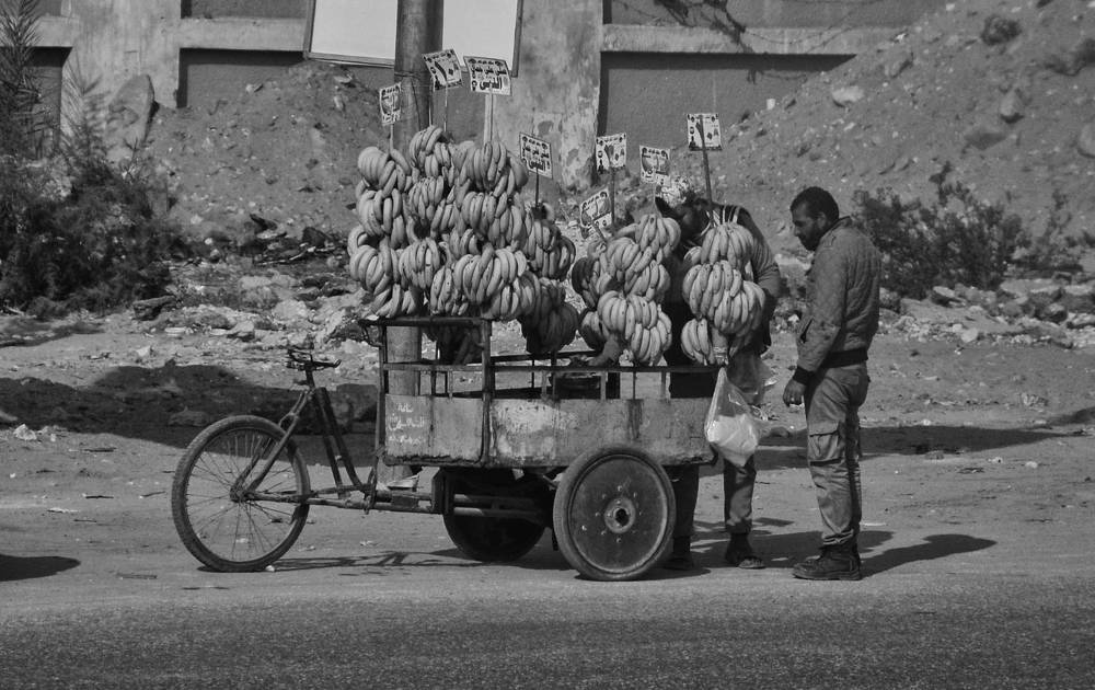 Photograph by Mirela Tortumanova