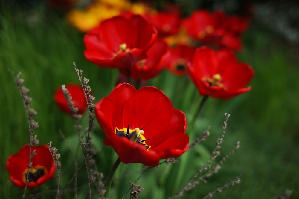 Photograph by Армен Арутюнов