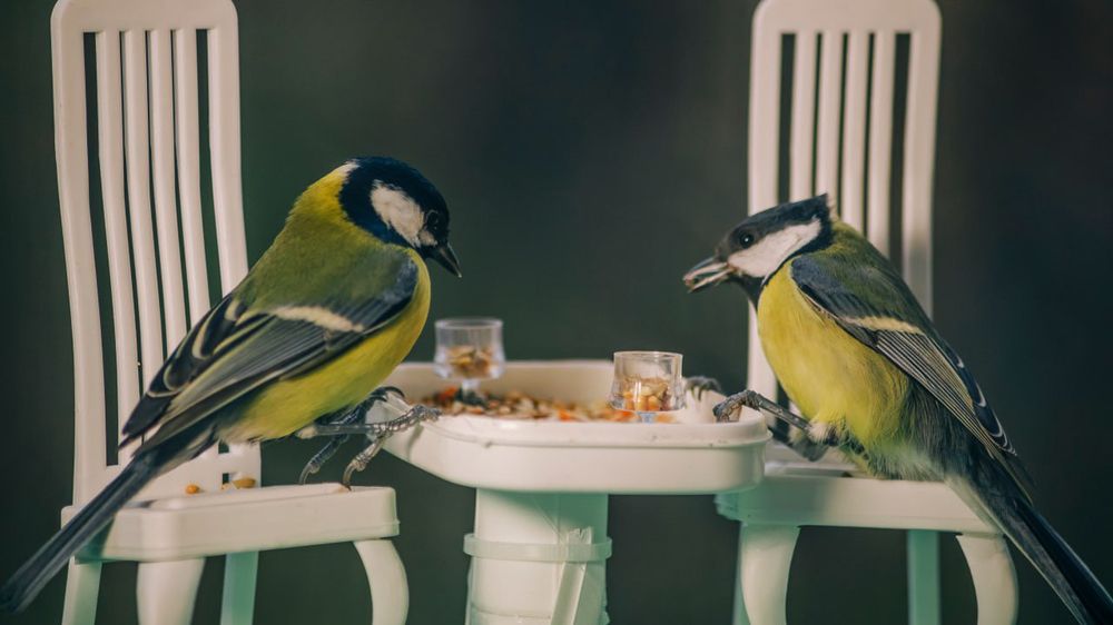 Photograph by Max Vegas