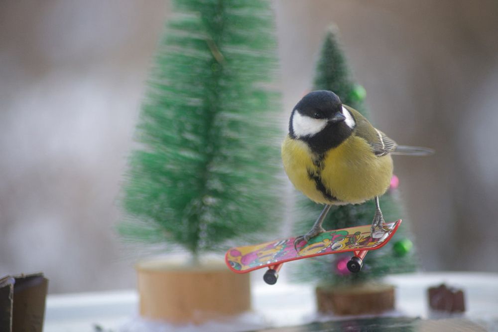 Photograph by Max Vegas