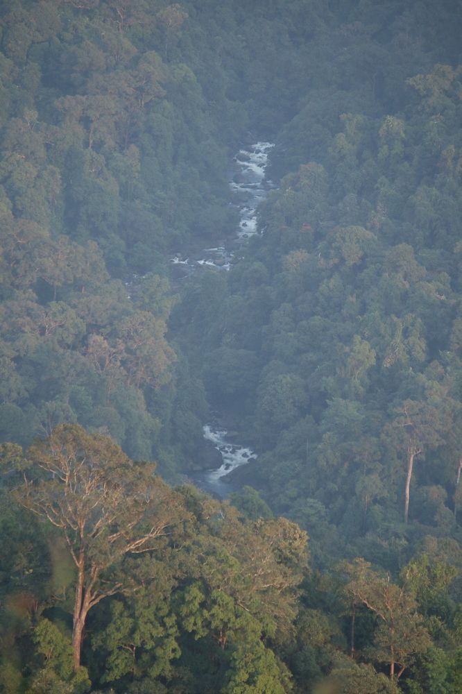 Photograph by Pradyumna K P