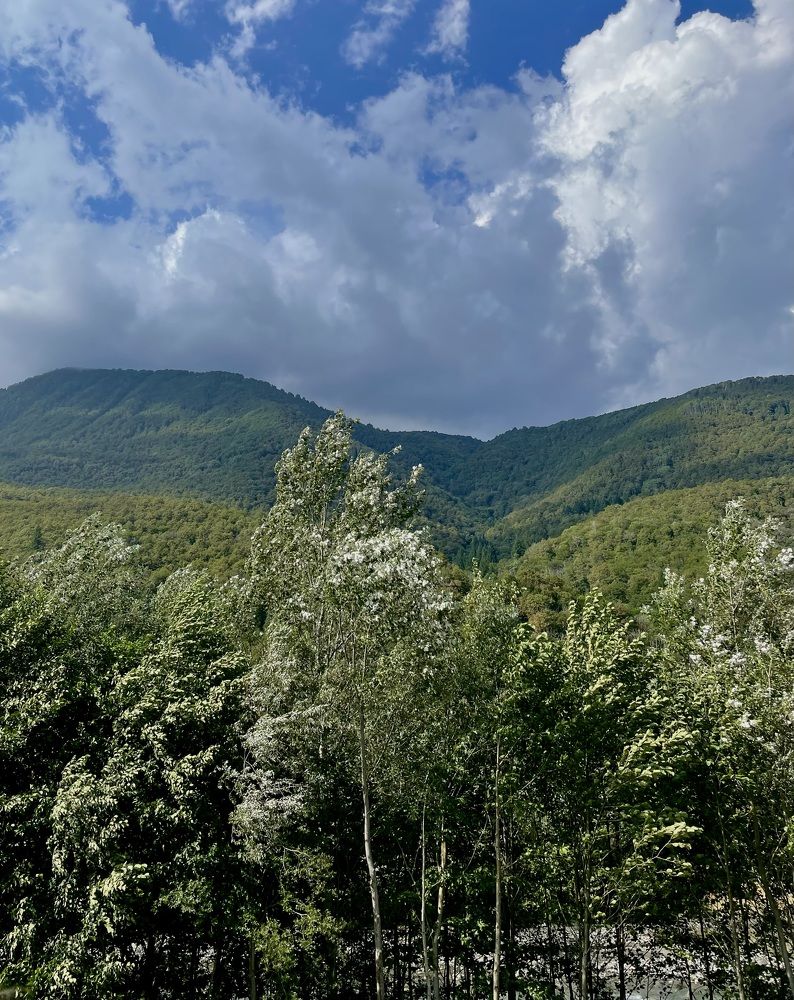 Photograph by Полина