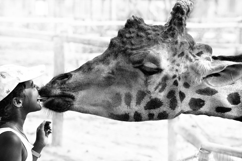 Photograph by Oleg Kogut