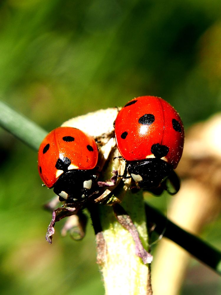 Photograph by Abdolreza Aleagha