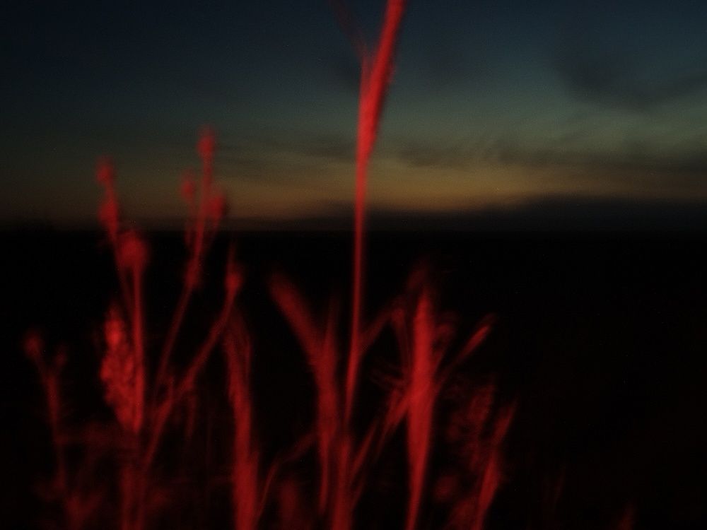 Фотография автора Максим Гафнер