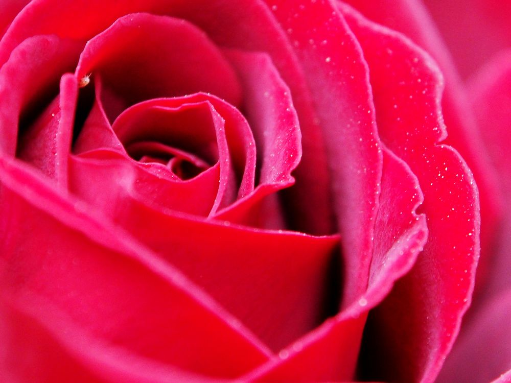 Photograph by Abdolreza Aleagha