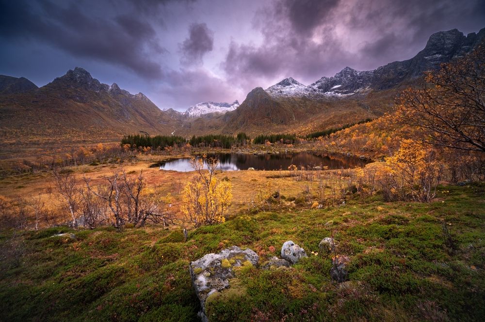 Photograph by Petr Kovar