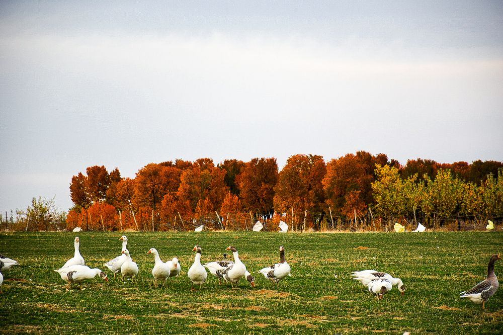 Photograph by Ehsan Fathi