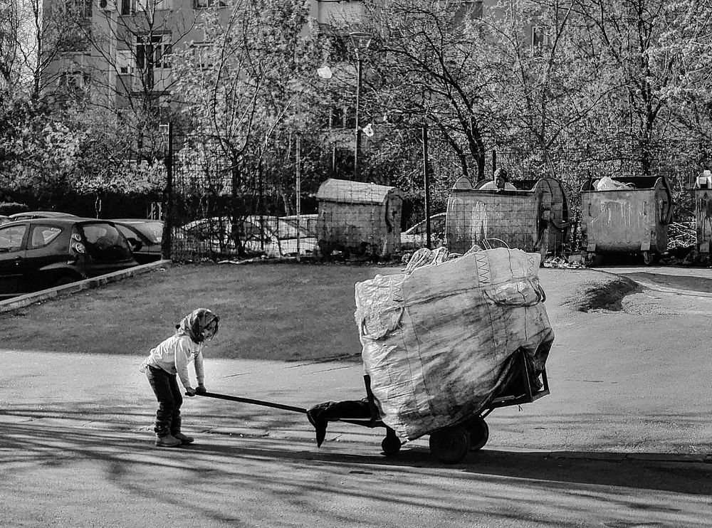 Photograph by Michał