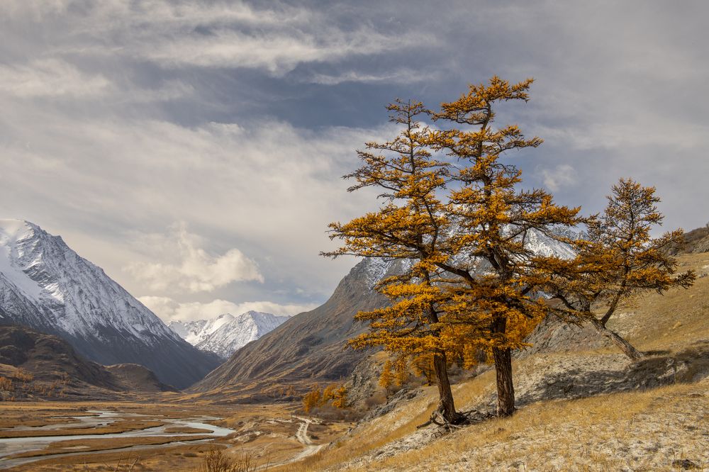 Photograph by Сергей Шерстнев