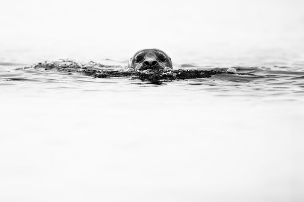 Photograph by Arzur Michael