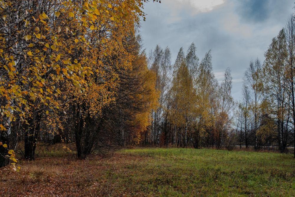 Photograph by Сергей Евсеев