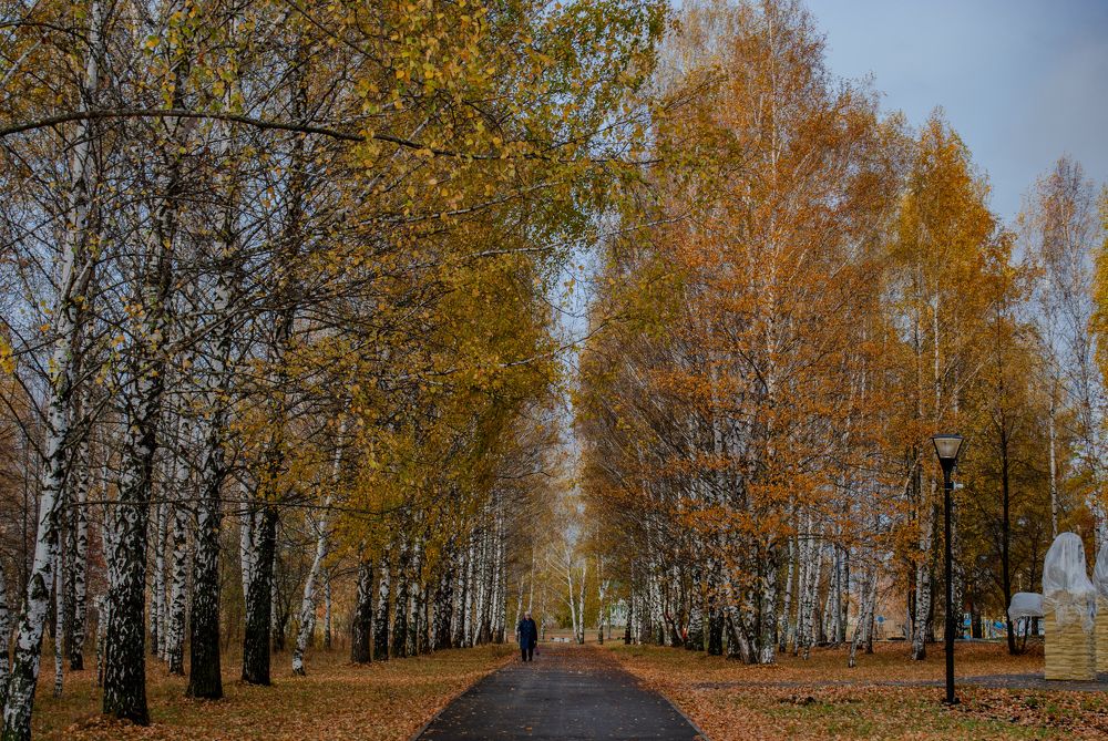 Photograph by Сергей Евсеев