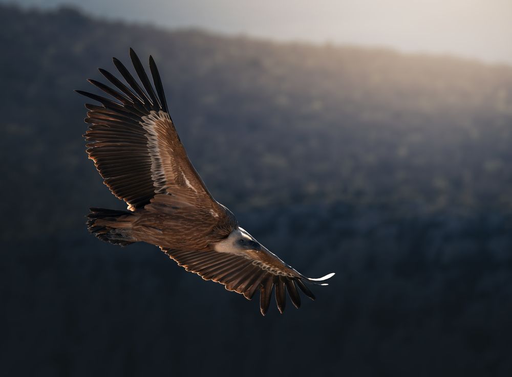 Photograph by Michael Arzur