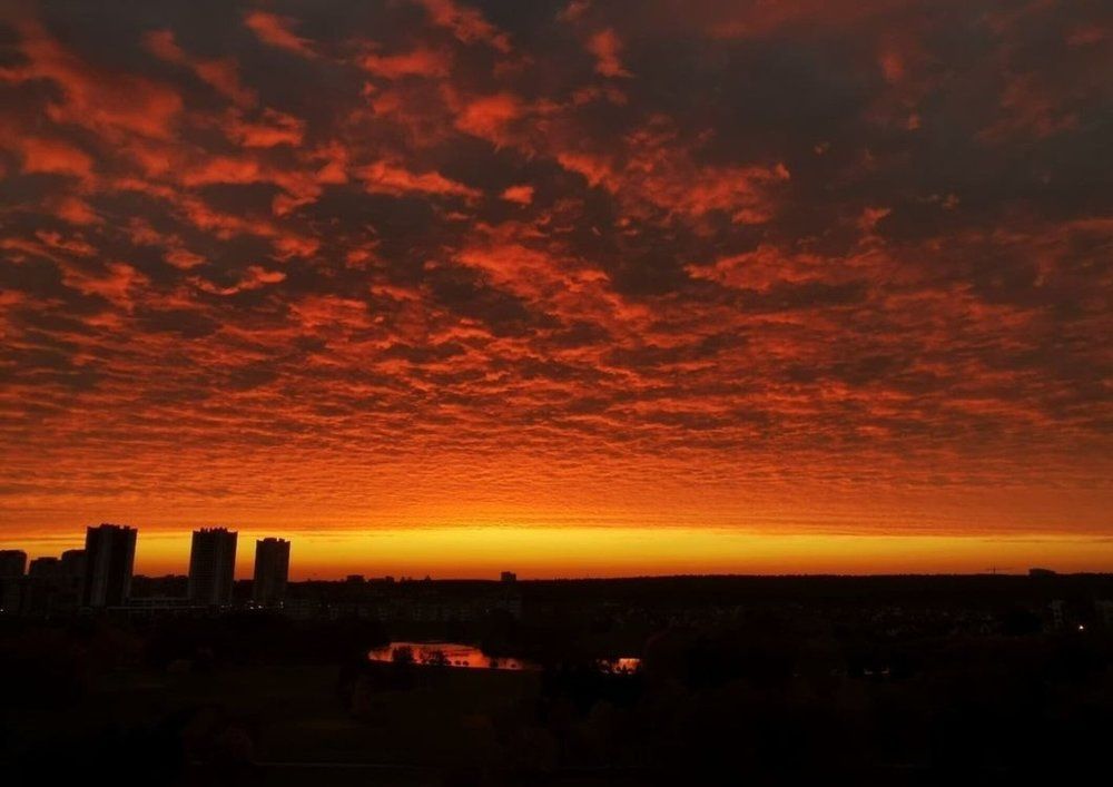 Photograph by Елена Ямнюк