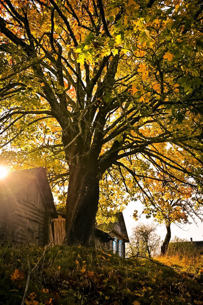 Photograph by Наталья Сергеева