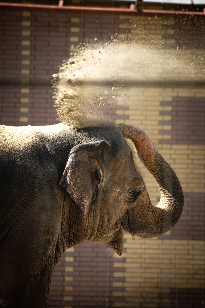 Photograph by Алина Орлова