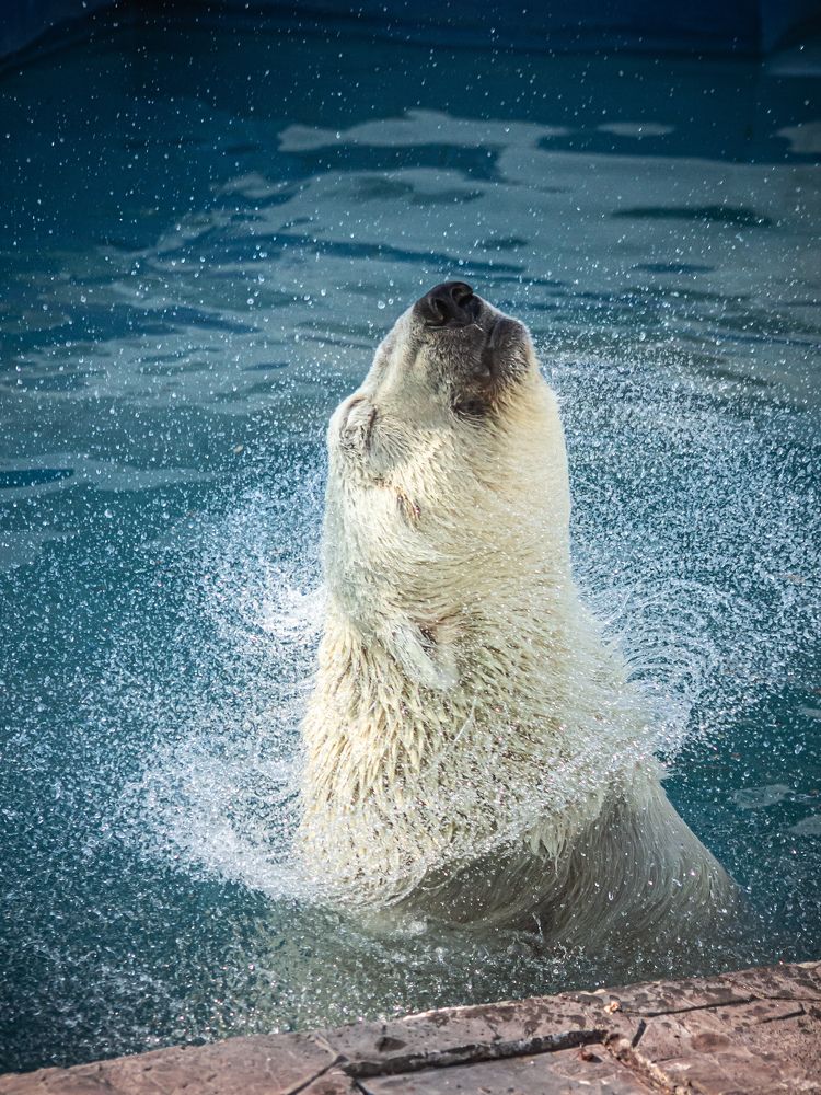 Photograph by Алина Орлова