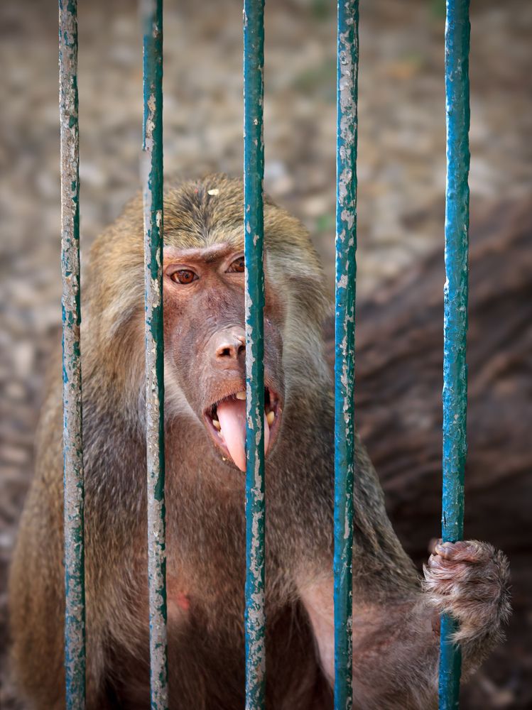 Photograph by Алина Орлова