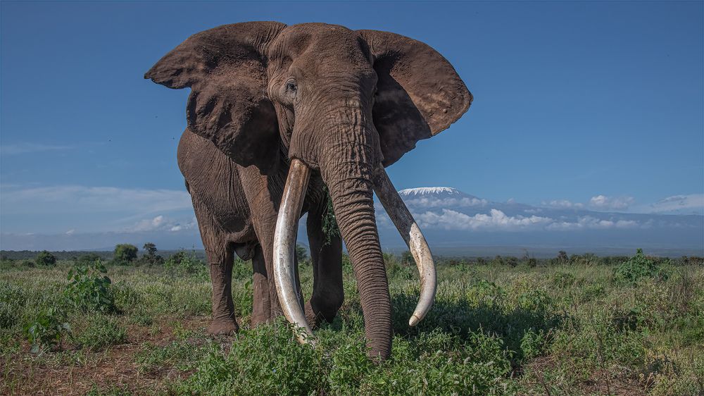 Photograph by Tania Cholwich