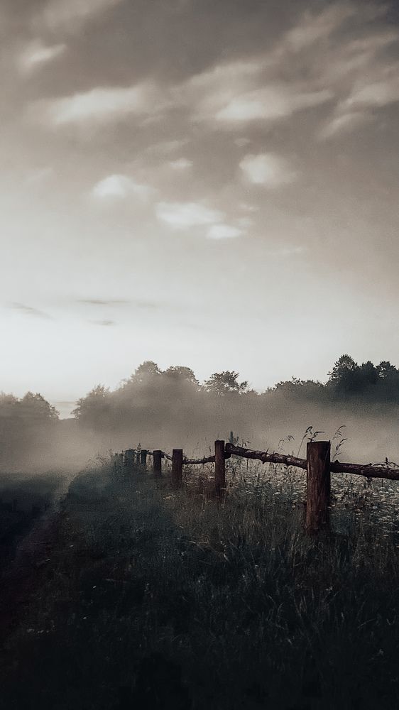 Фотография автора Олеся Шипихина