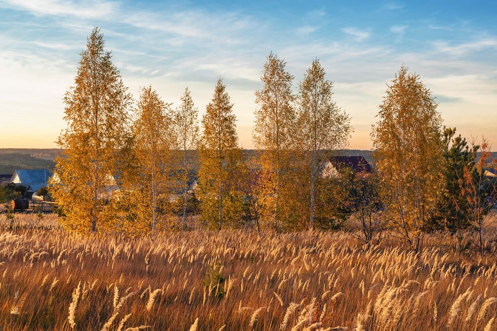 Photograph by Олег Каленин