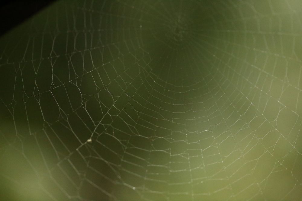 Photograph by Наталья Мутова